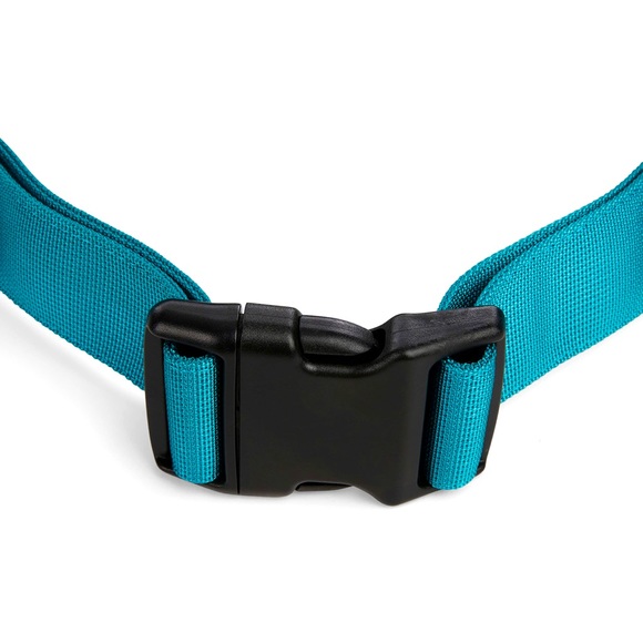 EveryYay Settin' The Pace, Running Belt and Lead / Leash Set for Dogs NEW!! - Picture 4 of 6